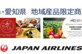 日本航空商談会
